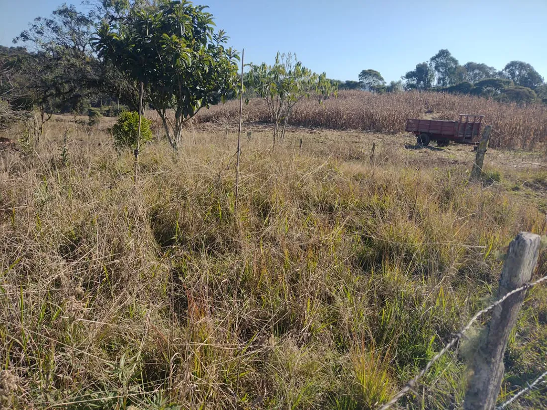 Sítio em Bom Retiro (7,5 ha) - foto 1